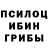 Псилоцибиновые грибы Psilocybine cubensis moif _velocita