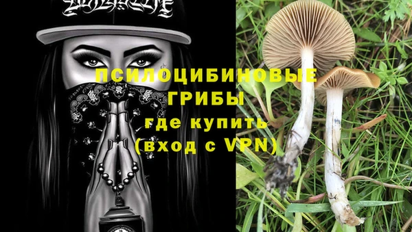 ECSTASY Касимов