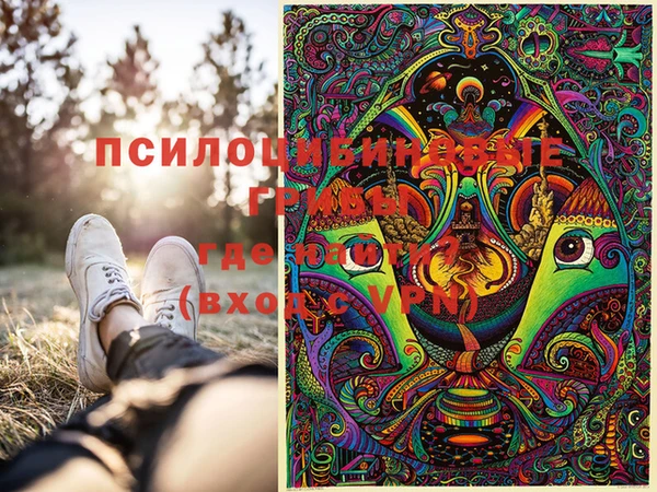 спиды Карпинск