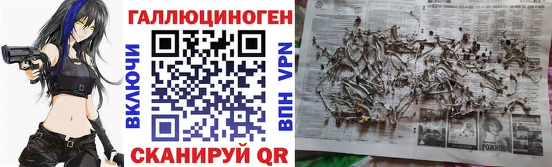 Купить где  Чапаевск  Псилоцибиновые грибы Cubensis 